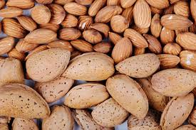 خرید عمده بادام مامایی از باغدار + کاملاً شیرین و خوش‌طمع